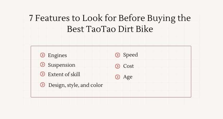 TaoTao Dirt Bike reviews